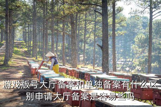 游戏版号大厅备案和单独备案有什么区别申请大厅备案是容易些吗