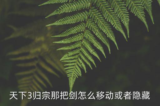 天下3归宗那把剑怎么移动或者隐藏