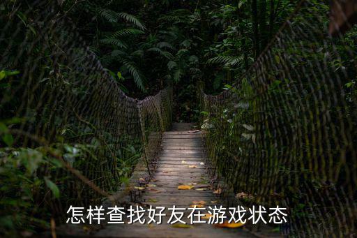 吃鸡手游怎么查看好友，怎样查找好友在游戏状态