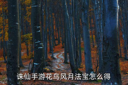诛仙手游花鸟风月法宝怎么得