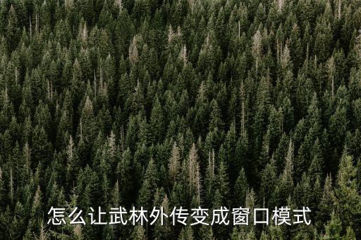 怎么让武林外传变成窗口模式