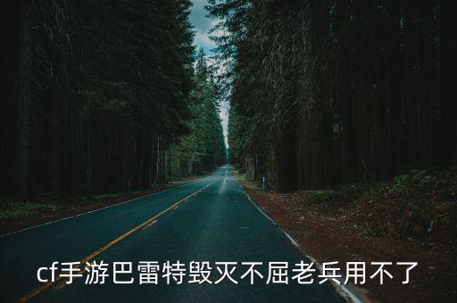 cf手游巴雷特毁灭不屈老兵用不了