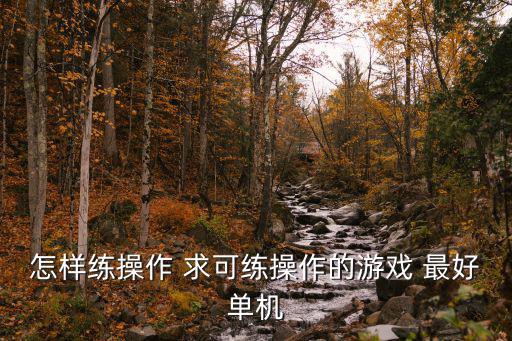 怎样练操作 求可练操作的游戏 最好单机