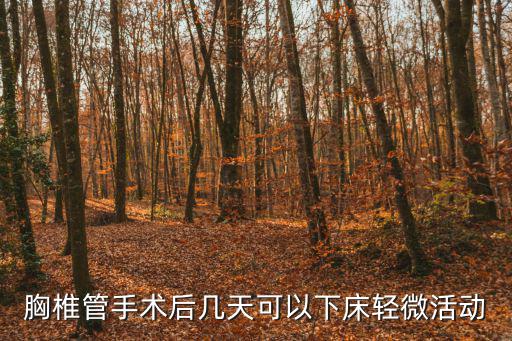 胸椎管手术后几天可以下床轻微活动