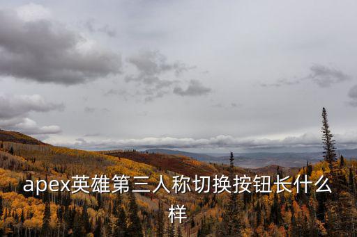 apex英雄第三人称切换按钮长什么样