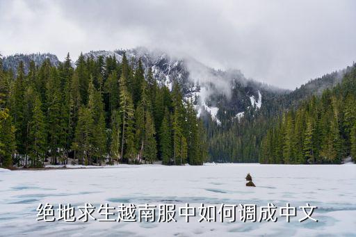 绝地求生越南服中如何调成中文