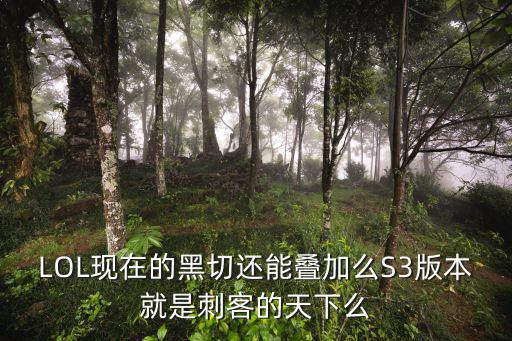 LOL现在的黑切还能叠加么S3版本就是刺客的天下么