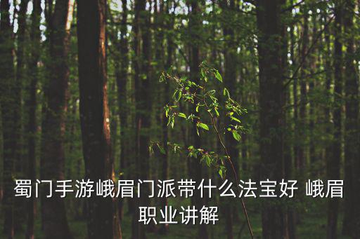 蜀门手游峨眉门派带什么法宝好 峨眉职业讲解