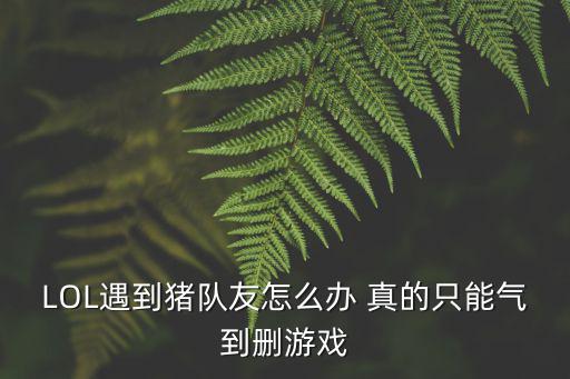 LOL遇到猪队友怎么办 真的只能气到删游戏