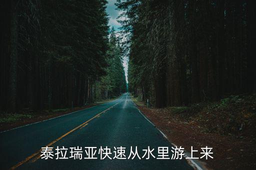 泰拉瑞亚手游掉水里怎么上来，泰拉瑞亚向导掉水里了出不来怎么办