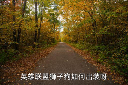 手游狮子狗怎么出装最好，英雄联盟狮子狗如何出装呀