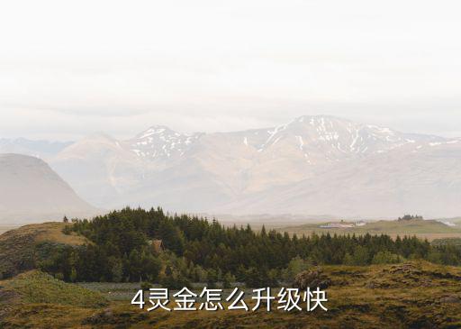 4灵金怎么升级快