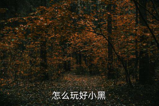 猫和老鼠手游小黑怎么玩，怎么玩好小黑
