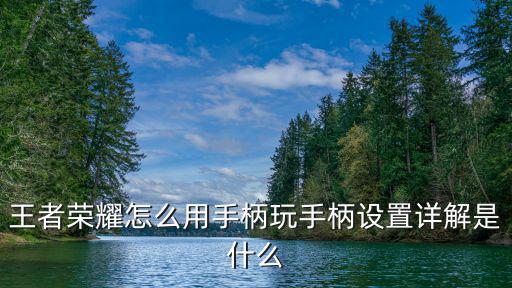 王者荣耀怎么用手柄玩手柄设置详解是什么
