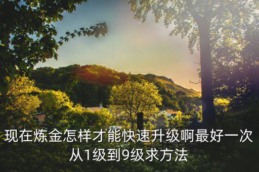 现在炼金怎样才能快速升级啊最好一次从1级到9级求方法
