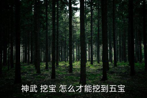 神武 挖宝 怎么才能挖到五宝