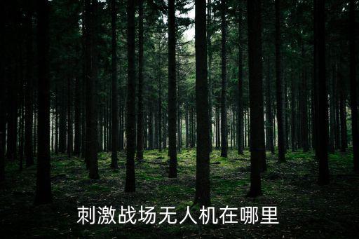 刺激战场无人机在哪里