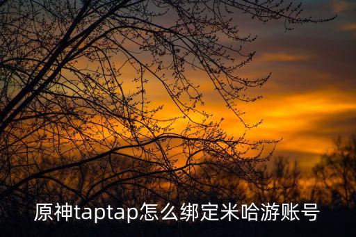 原神taptap怎么绑定米哈游账号