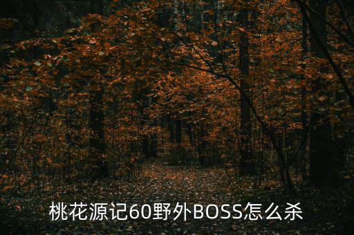 桃花源记60野外BOSS怎么杀