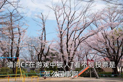 请问CF在游戏中被人T看不到投票是怎么回事啊