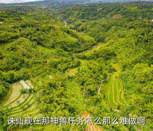 诛仙现在那神兽任务怎么那么难做啊