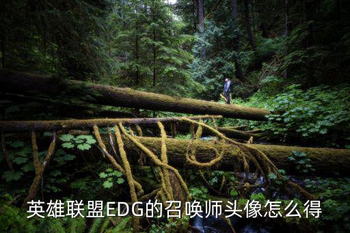 联盟手游edg头像怎么弄，LOL edg头像怎么领取 求教