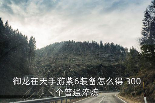 御龙在天手游紫6装备怎么得 300个普通淬炼