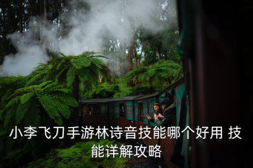 小李飞刀手游林诗音技能哪个好用 技能详解攻略
