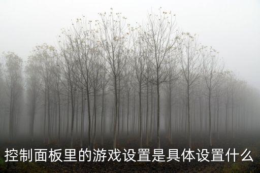 2k手游控制器怎么设置，控制面板里的游戏设置是具体设置什么
