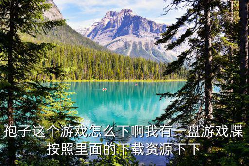 孢子这个游戏怎么下啊我有一盘游戏牒按照里面的下载资源下下