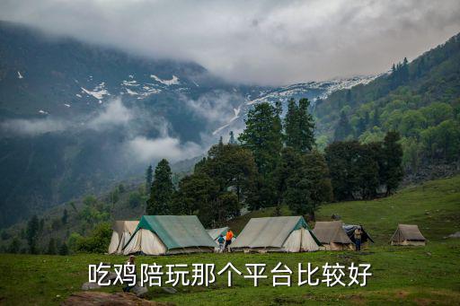 吃鸡怎么找陪玩游戏手游，怎么找陪玩