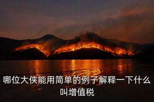 哪位大侠能用简单的例子解释一下什么叫增值税