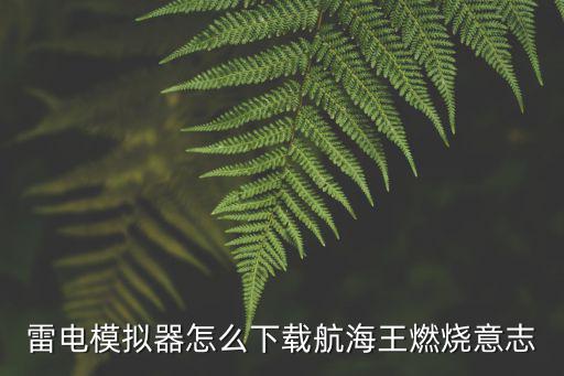 雷电模拟器怎么下载航海王燃烧意志