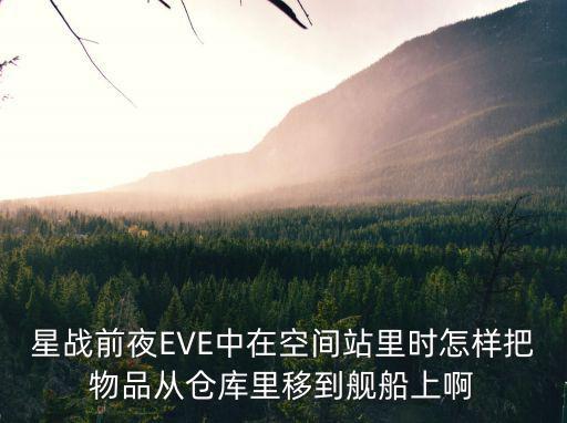 星战前夜EVE中在空间站里时怎样把物品从仓库里移到舰船上啊