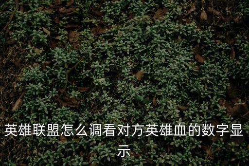 英雄联盟怎么调看对方英雄血的数字显示