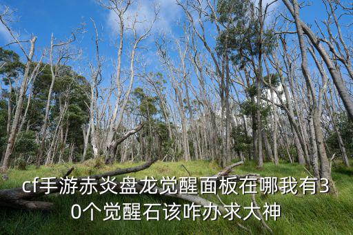 cf手游赤炎盘龙觉醒面板在哪我有30个觉醒石该咋办求大神