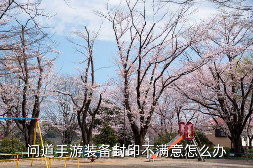 问道手游洛书装备满了怎么清理，问道手游的游戏里面怎么去除装备封印的