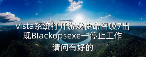 使命召唤手游怎么暂停资源包，vista系统打开游戏使命召唤7出现BIackopsexe一停止工作请问有好的