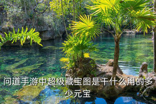 问道手游中超级藏宝图是干什么用的多少元宝