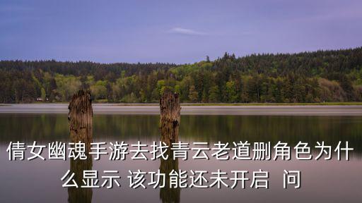 倩女幽魂手游去找青云老道删角色为什么显示 该功能还未开启 问