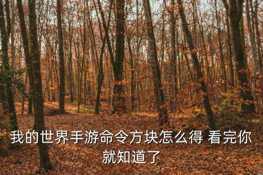 我的世界手游命令方块怎么得 看完你就知道了