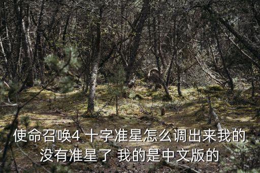 使命召唤4 十字准星怎么调出来我的没有准星了 我的是中文版的