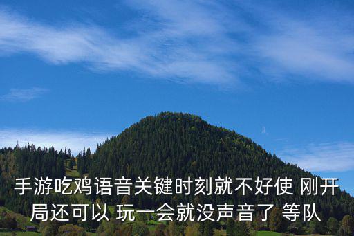 手游吃鸡语音关键时刻就不好使 刚开局还可以 玩一会就没声音了 等队