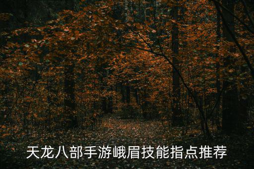 天龙八部手游峨眉技能指点推荐