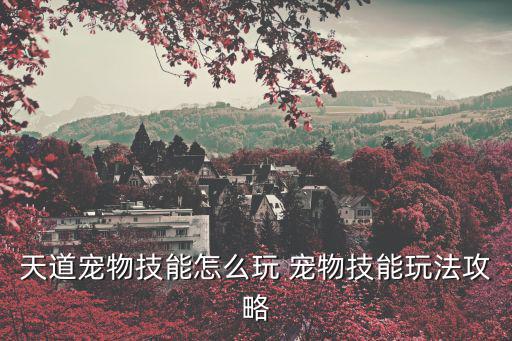 天道宠物技能怎么玩 宠物技能玩法攻略