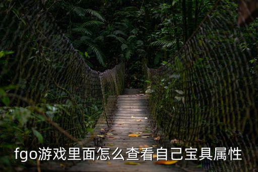 fgo游戏里面怎么查看自己宝具属性