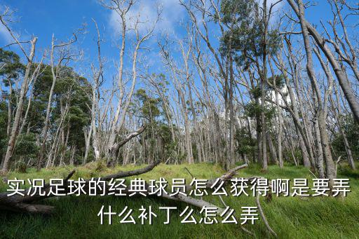 实况足球的经典球员怎么获得啊是要弄什么补丁么怎么弄
