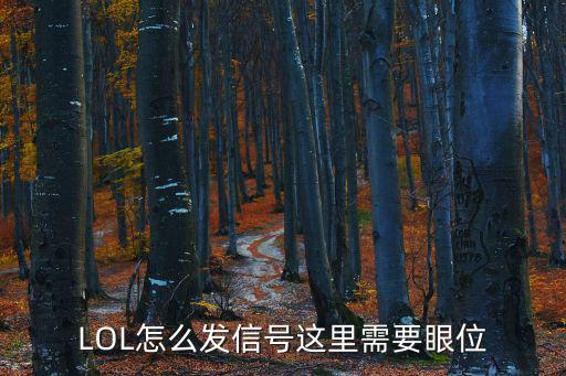 LOL怎么发信号这里需要眼位