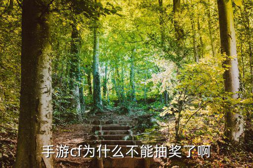 cf手游定军抽奖币怎么没了，我用CF点买了300CF点一次抽奖的奖币5个为什么我用了4个下次抽