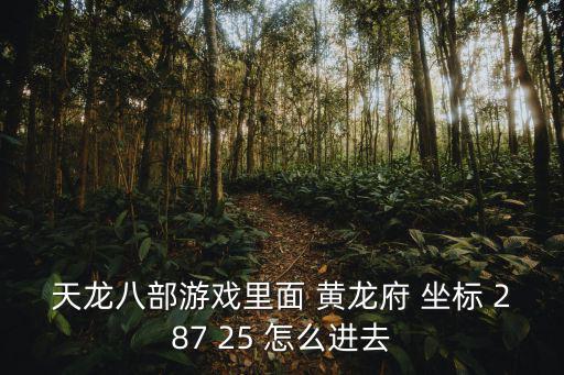 天龙八部游戏里面 黄龙府 坐标 287 25 怎么进去